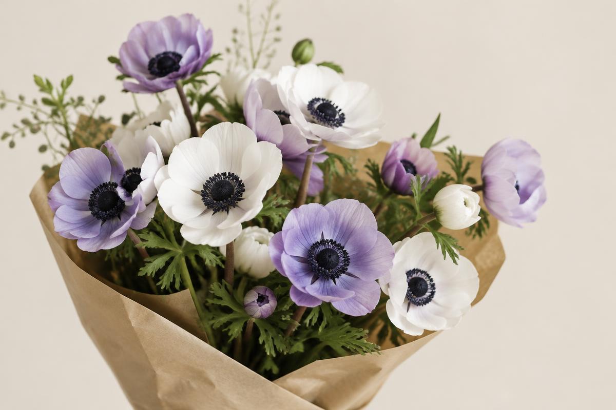 Anemonen: de delicate voorjaarsbloem met een donker hart
