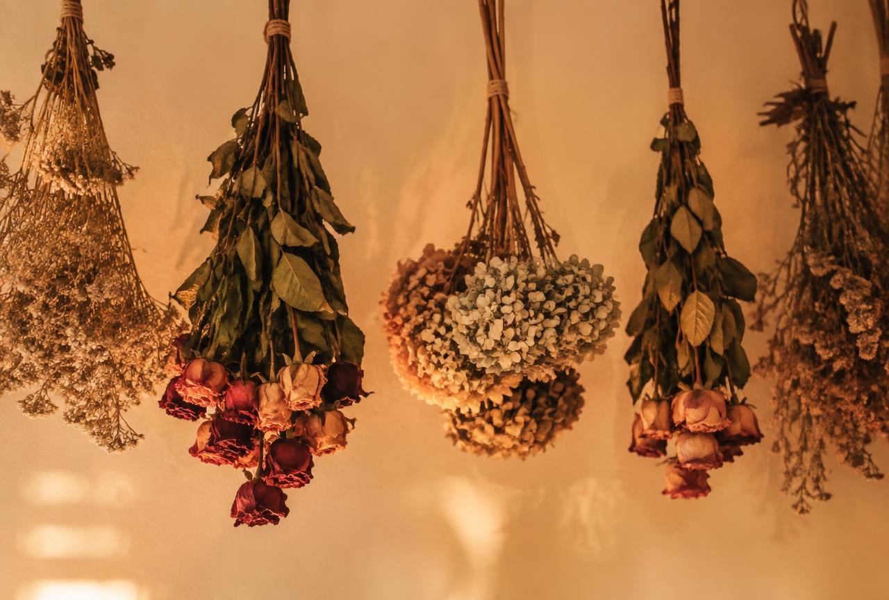 Bloemen drogen: zo bewaar je je boeket maanden langer